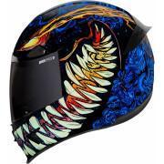 Volle motorhelm Icon Airframe Pro Soulfood